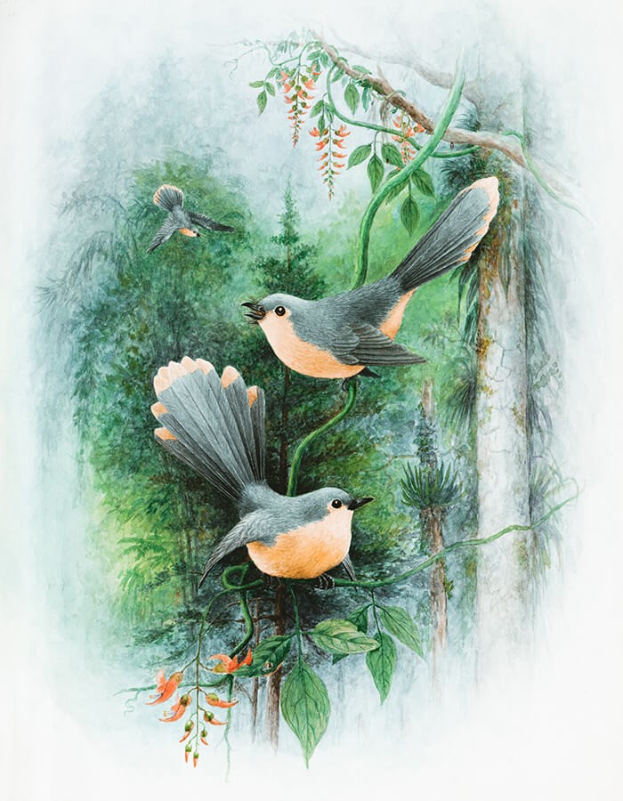 Lobby & Public Space Projects